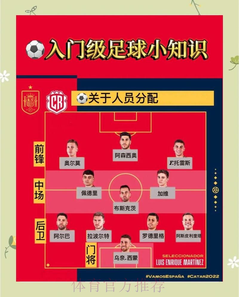 世界杯外围应用精选与技巧深度解读